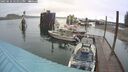 ./images/quadra/hbidock/20250516/hbidock20250516_121010M.jpg