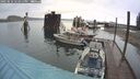 ./images/quadra/hbidock/20250516/hbidock20250516_122011M.jpg