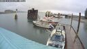 ./images/quadra/hbidock/20250516/hbidock20250516_181011M.jpg