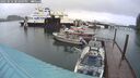 ./images/quadra/hbidock/20250516/hbidock20250516_202009M.jpg