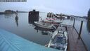 ./images/quadra/hbidock/20250517/hbidock20250517_054509M.jpg