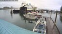 ./images/quadra/hbidock/20250517/hbidock20250517_104510M.jpg
