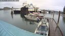 ./images/quadra/hbidock/20250517/hbidock20250517_105010M.jpg