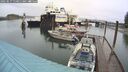 ./images/quadra/hbidock/20250517/hbidock20250517_110011M.jpg