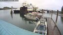 ./images/quadra/hbidock/20250517/hbidock20250517_110500M.jpg