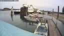 ./images/quadra/hbidock/20250517/hbidock20250517_131009M.jpg
