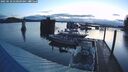 ./images/quadra/hbidock/20250518/hbidock20250518_050509M.jpg