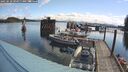 ./images/quadra/hbidock/20250518/hbidock20250518_094011M.jpg