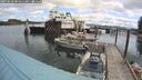 ./images/quadra/hbidock/20250518/hbidock20250518_105011M.jpg