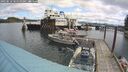 ./images/quadra/hbidock/20250518/hbidock20250518_105510M.jpg