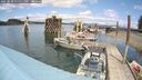 ./images/quadra/hbidock/20250518/hbidock20250518_135011M.jpg