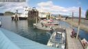 ./images/quadra/hbidock/20250518/hbidock20250518_145010M.jpg