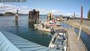 ./images/quadra/hbidock/20250518/hbidock20250518_161511M.jpg
