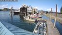 ./images/quadra/hbidock/20250518/hbidock20250518_164510M.jpg