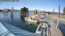 ./images/quadra/hbidock/20250518/hbidock20250518_171000M.jpg