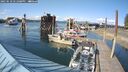 ./images/quadra/hbidock/20250518/hbidock20250518_171008M.jpg