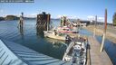 ./images/quadra/hbidock/20250518/hbidock20250518_171509M.jpg