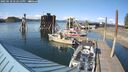 ./images/quadra/hbidock/20250518/hbidock20250518_172510M.jpg