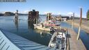 ./images/quadra/hbidock/20250518/hbidock20250518_173510M.jpg