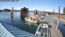 ./images/quadra/hbidock/20250518/hbidock20250518_174000M.jpg