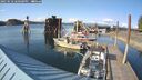 ./images/quadra/hbidock/20250518/hbidock20250518_180500M.jpg