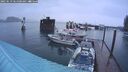 ./images/quadra/hbidock/20250519/hbidock20250519_061000M.jpg