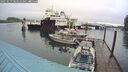 ./images/quadra/hbidock/20250519/hbidock20250519_084511M.jpg