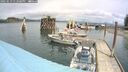 ./images/quadra/hbidock/20250519/hbidock20250519_132000M.jpg