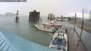 ./images/quadra/hbidock/20250519/hbidock20250519_155010M.jpg