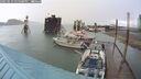 ./images/quadra/hbidock/20250519/hbidock20250519_155500M.jpg