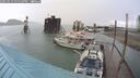 ./images/quadra/hbidock/20250519/hbidock20250519_155510M.jpg