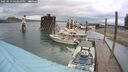 ./images/quadra/hbidock/20250519/hbidock20250519_162011M.jpg