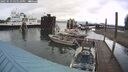 ./images/quadra/hbidock/20250519/hbidock20250519_165510M.jpg