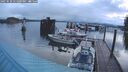 ./images/quadra/hbidock/20250520/hbidock20250520_051009M.jpg