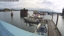 ./images/quadra/hbidock/20250520/hbidock20250520_081011M.jpg