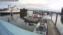 ./images/quadra/hbidock/20250520/hbidock20250520_084000M.jpg