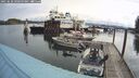 ./images/quadra/hbidock/20250520/hbidock20250520_090500M.jpg