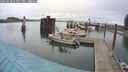./images/quadra/hbidock/20250520/hbidock20250520_133011M.jpg