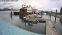 ./images/quadra/hbidock/20250520/hbidock20250520_145000M.jpg