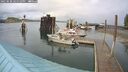 ./images/quadra/hbidock/20250520/hbidock20250520_161510M.jpg