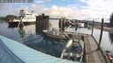 ./images/quadra/hbidock/20250521/hbidock20250521_084011M.jpg