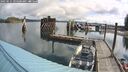 ./images/quadra/hbidock/20250521/hbidock20250521_094500M.jpg