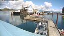./images/quadra/hbidock/20250521/hbidock20250521_125000M.jpg
