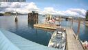 ./images/quadra/hbidock/20250521/hbidock20250521_145009M.jpg