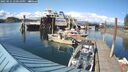 ./images/quadra/hbidock/20250521/hbidock20250521_170510M.jpg