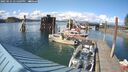 ./images/quadra/hbidock/20250521/hbidock20250521_171009M.jpg