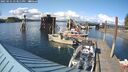 ./images/quadra/hbidock/20250521/hbidock20250521_173011M.jpg