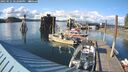 ./images/quadra/hbidock/20250521/hbidock20250521_182000M.jpg