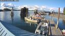 ./images/quadra/hbidock/20250521/hbidock20250521_183011M.jpg