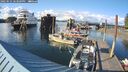 ./images/quadra/hbidock/20250521/hbidock20250521_183509M.jpg